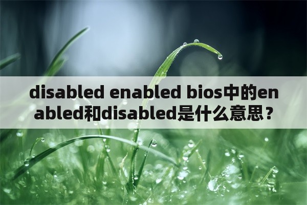 disabled enabled bios中的enabled和disabled是什么意思？