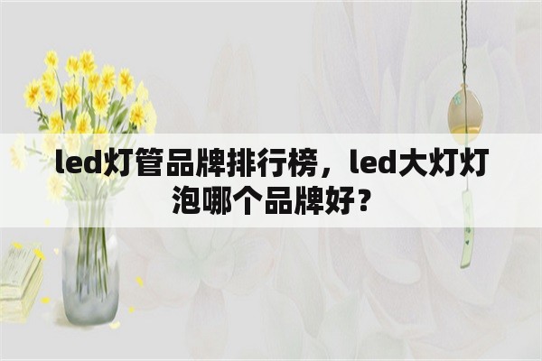 led灯管品牌排行榜，led大灯灯泡哪个品牌好？