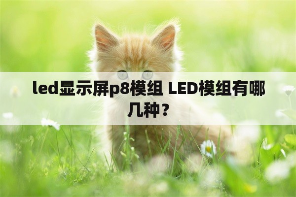led显示屏p8模组 LED模组有哪几种？