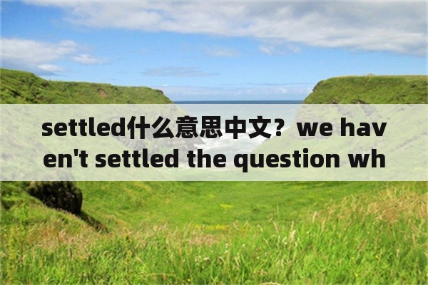 settled什么意思中文？we haven't settled the question when we are going shopping什么意思？