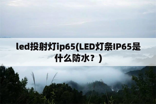 led投射灯ip65(LED灯条IP65是什么防水？)
