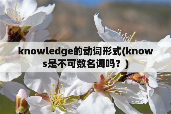 knowledge的动词形式(knows是不可数名词吗？)