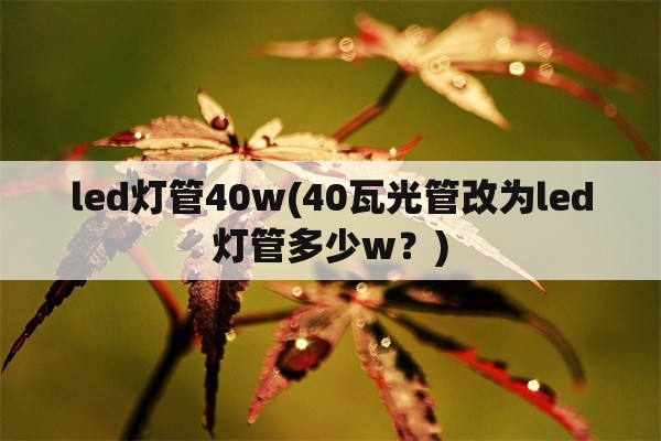 led灯管40w(40瓦光管改为led灯管多少w？)