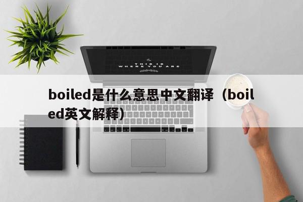boiled是什么意思中文翻译（boiled英文解释）