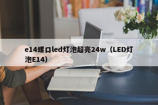 e14螺口led灯泡超亮24w（LED灯泡E14）