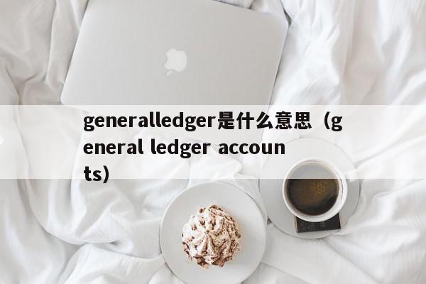 generalledger是什么意思（general ledger accounts）