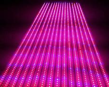 led灯光谱水草生长(灯管和led养水草对比)