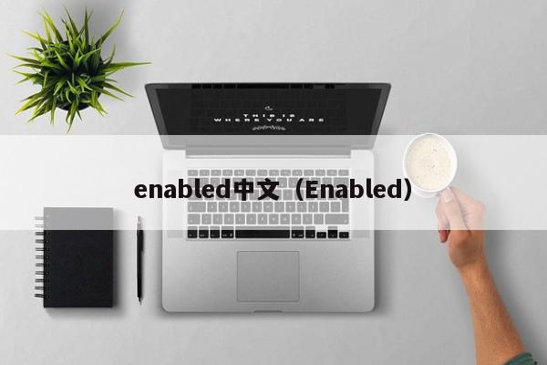 enabled中文（Enabled）