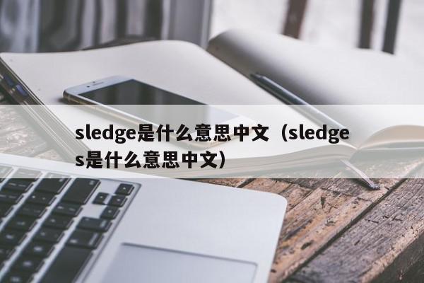 sledge是什么意思中文（sledges是什么意思中文）