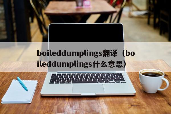 boileddumplings翻译（boileddumplings什么意思）